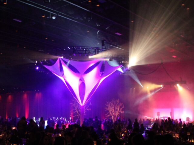 Annual Holiday Party Lighting Example